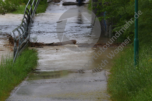 21.05.2019, Hochwasser an der Ammer

Hier nur Vorschaubilder !